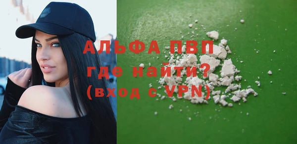 стаф Медногорск