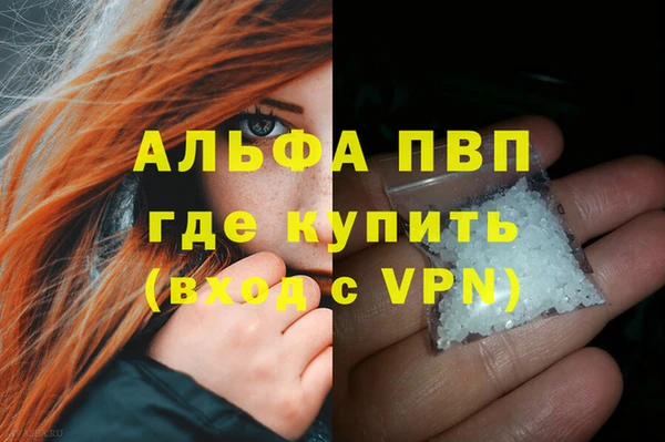 стаф Медногорск