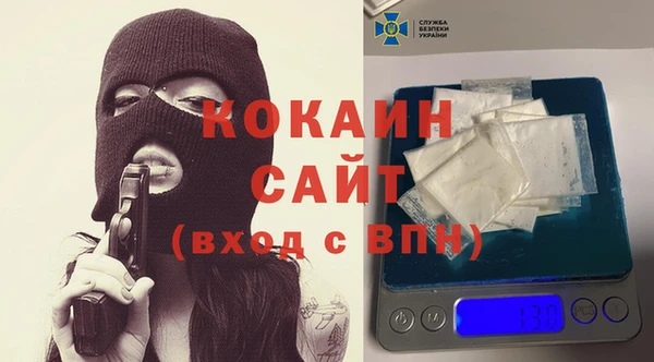 стаф Медногорск