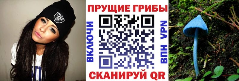 цена   Юрьев-Польский  гидра ТОР  Псилоцибиновые грибы MAGIC MUSHROOMS 