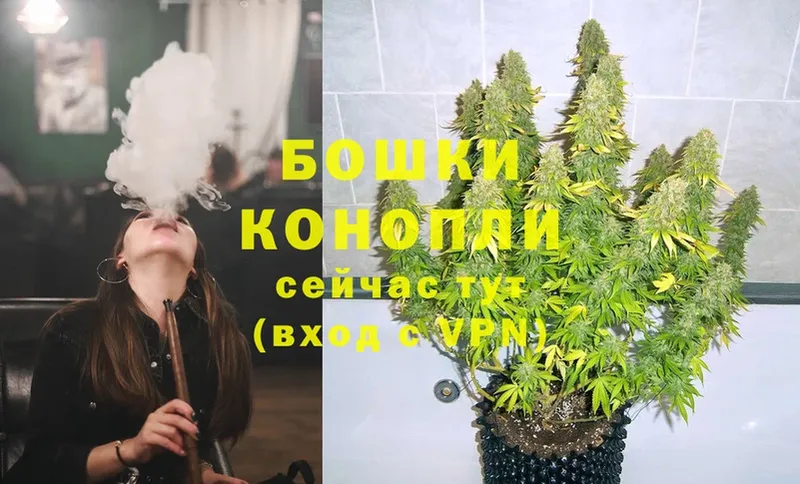 Марихуана White Widow  Юрьев-Польский 